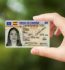 Fake ID vs Real ID: Which One Do You Need?