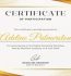 Buy a Degree Online – Real Uses for Fake Diplomas