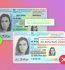 Is It Safe to Buy Fake Documents Online in 2025?